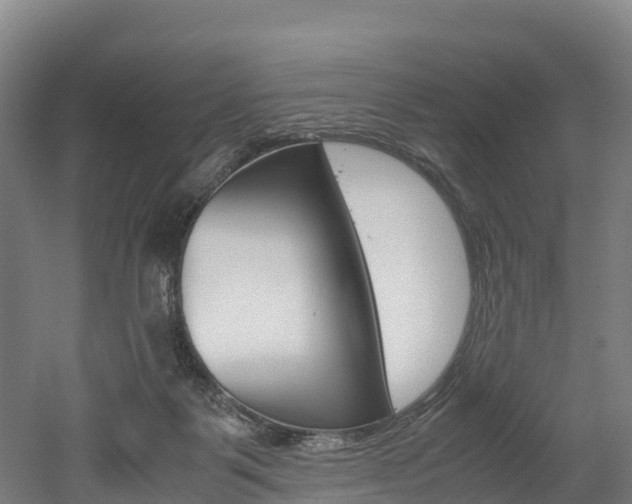 X0000052550123200507010855