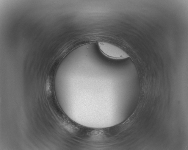 X0000052550124200507010855