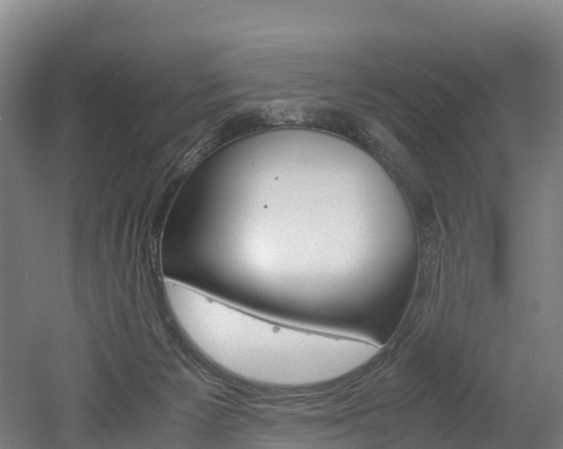 X0000052550125200507010855