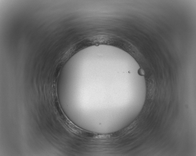 X0000052550126200507010855