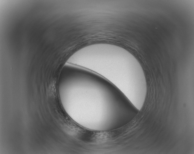 X0000052550127200507010855