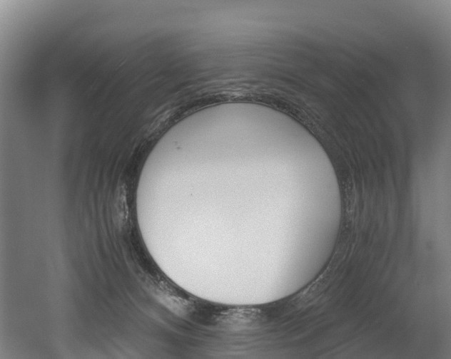 X0000052550128200507010855