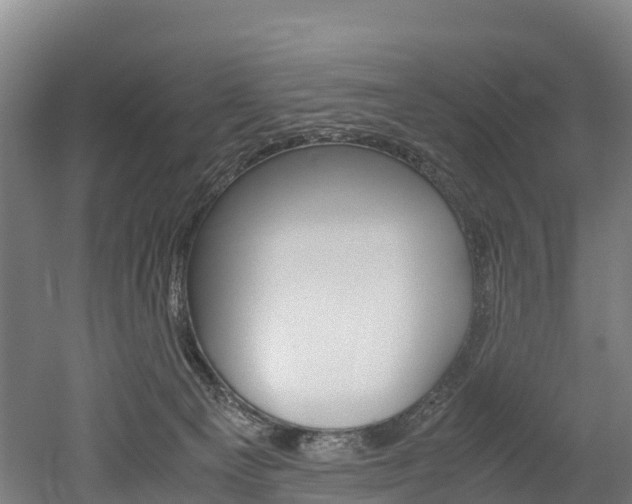 X0000052550129200507010855