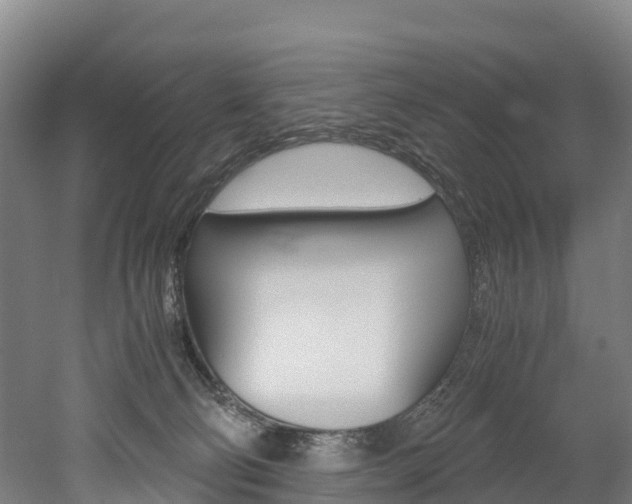 X0000052550130200507010855