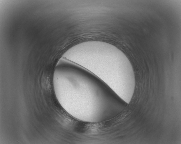 X0000052550131200507010855