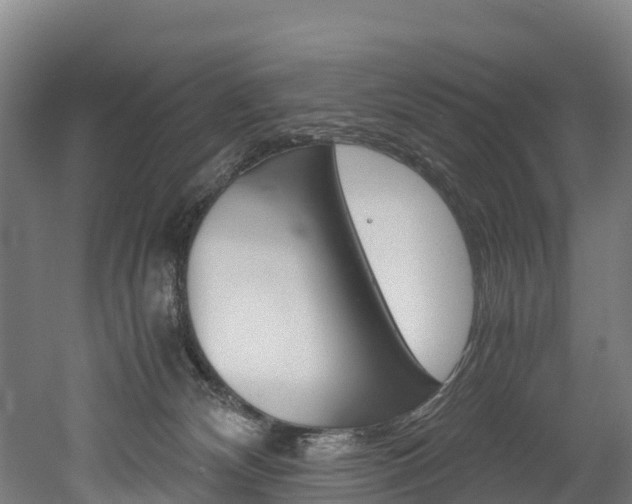 X0000052550132200507010855