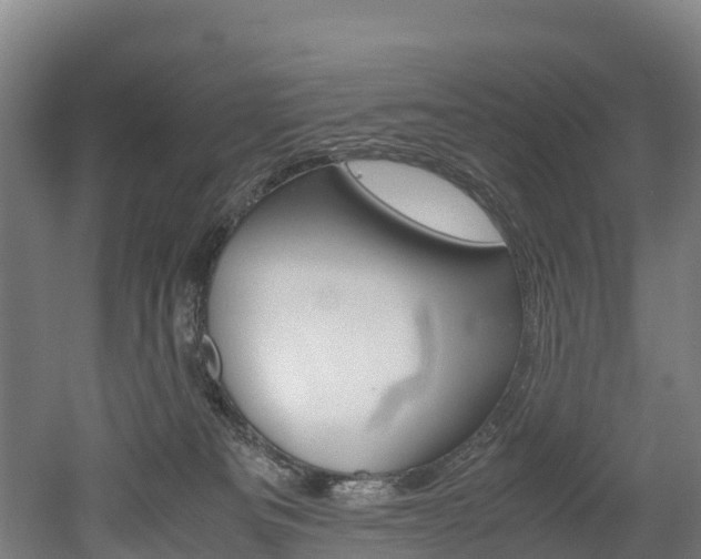 X0000052550133200507010855