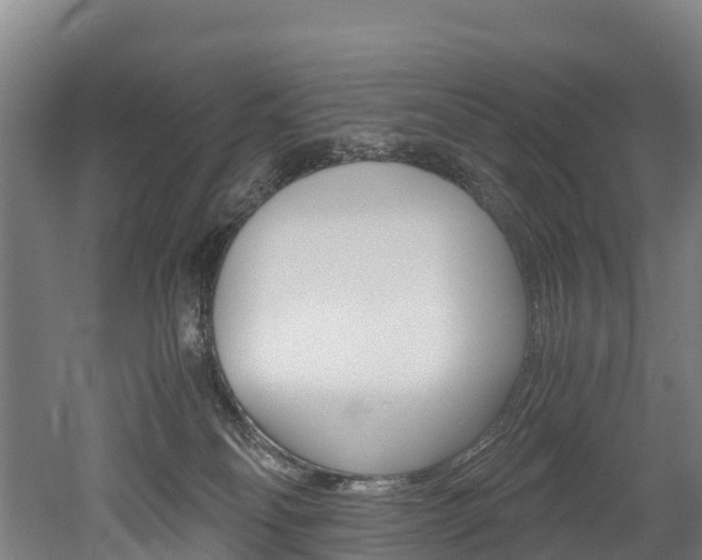 X0000052550134200507010855