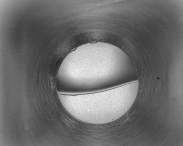 X0000052550135200507010855