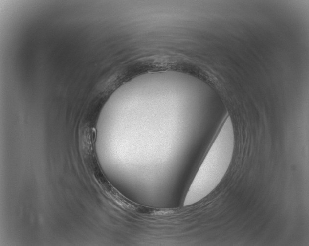 X0000052550137200507010855