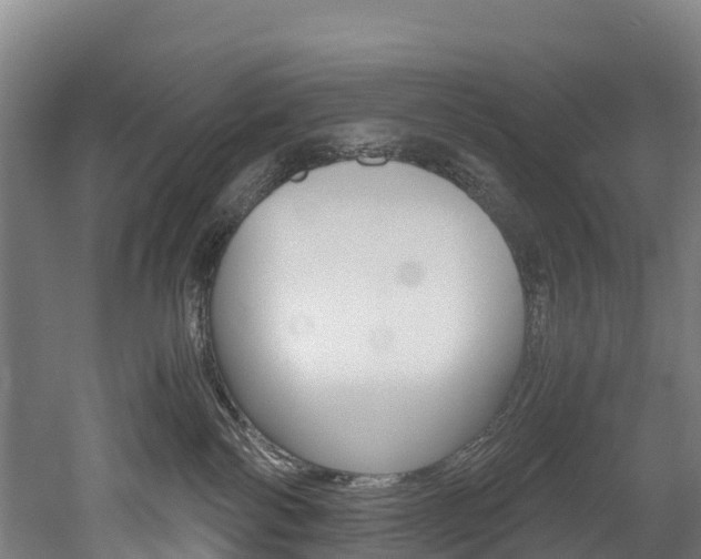 X0000052550138200507010855