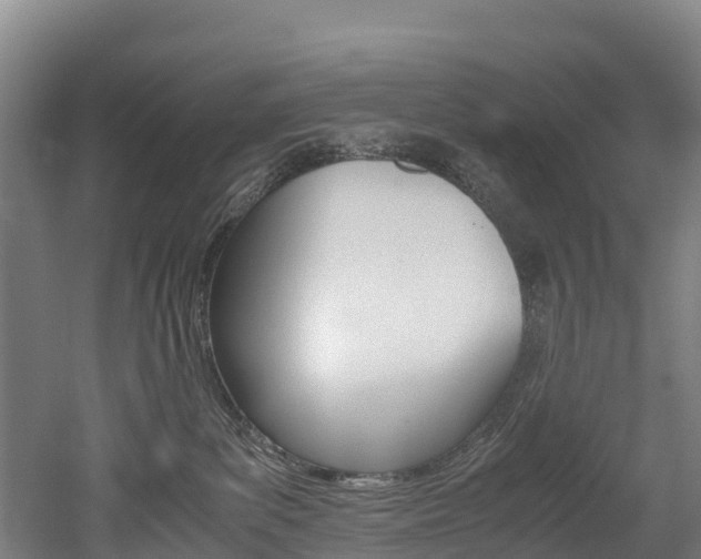 X0000052550139200507010855