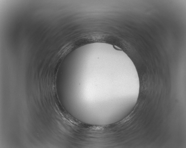 X0000052550140200507010855