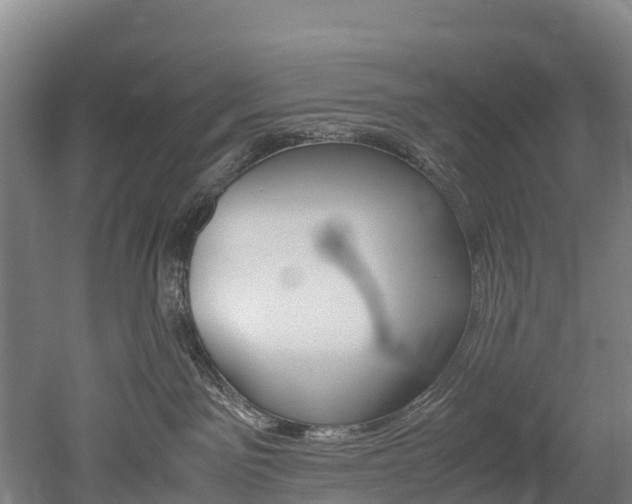 X0000052550141200507010855