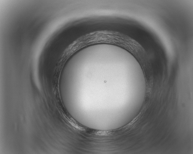 X0000052550142200507010855