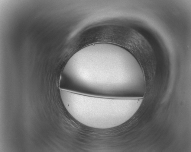 X0000052550143200507010855