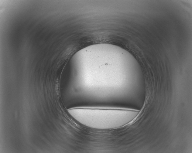 X0000052550144200507010855