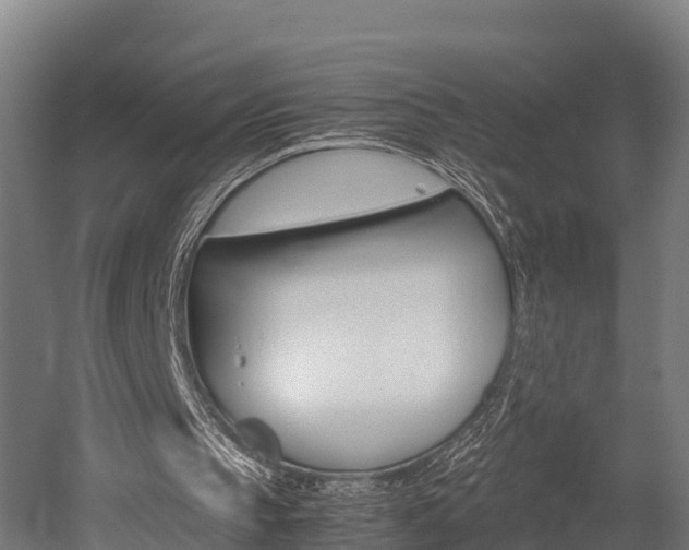 X0000052550145200507010854