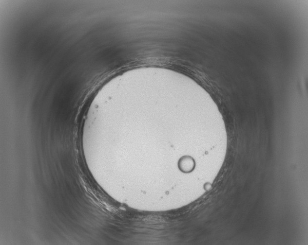 X0000052550146200507010854