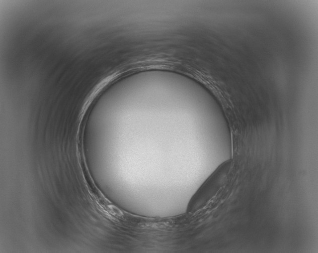 X0000052550147200507010854