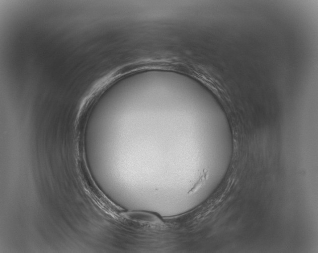 X0000052550149200507010854