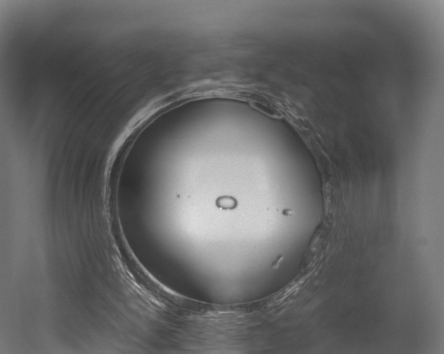 X0000052550150200507010854