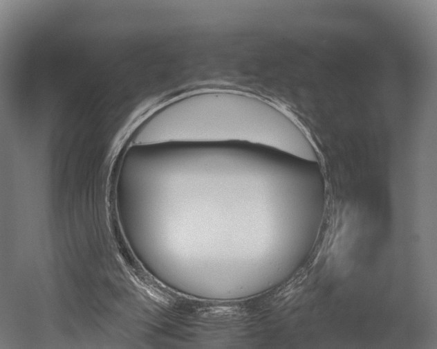 X0000052550151200507010854