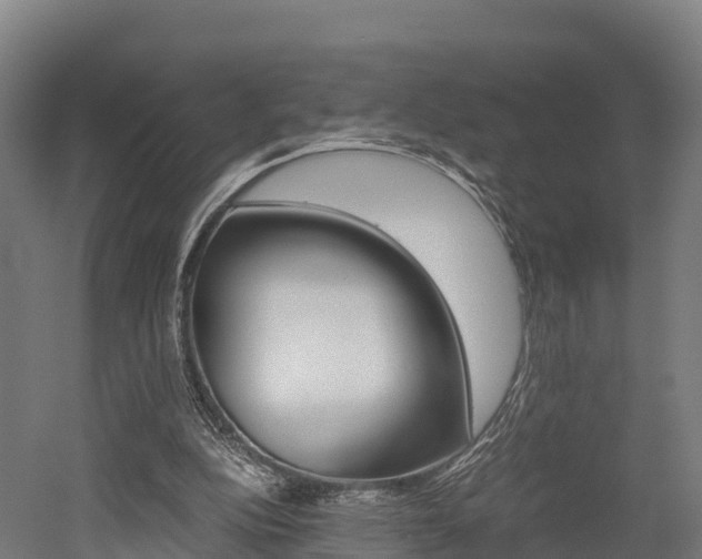 X0000052550152200507010854