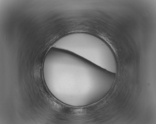 X0000052550153200507010854