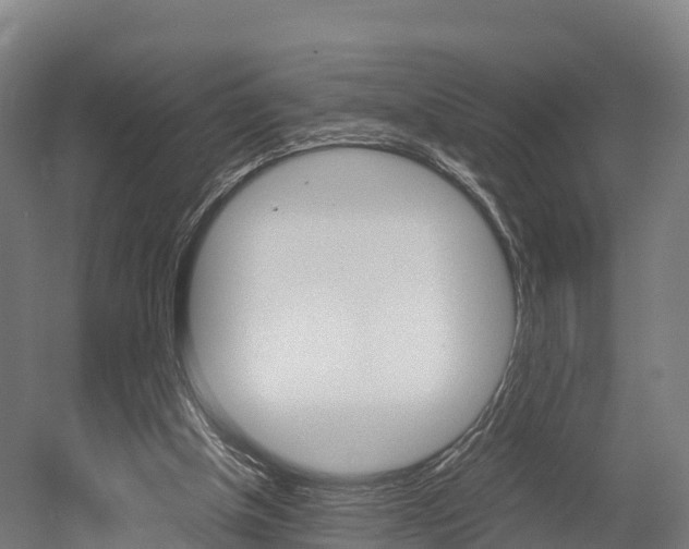 X0000052550154200507010854