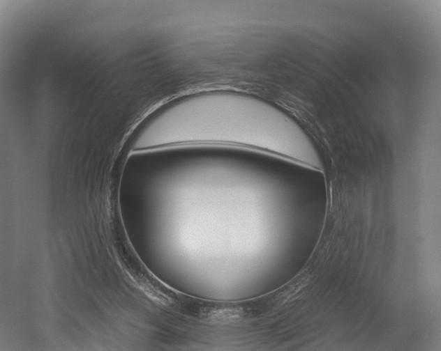 X0000052550156200507010854