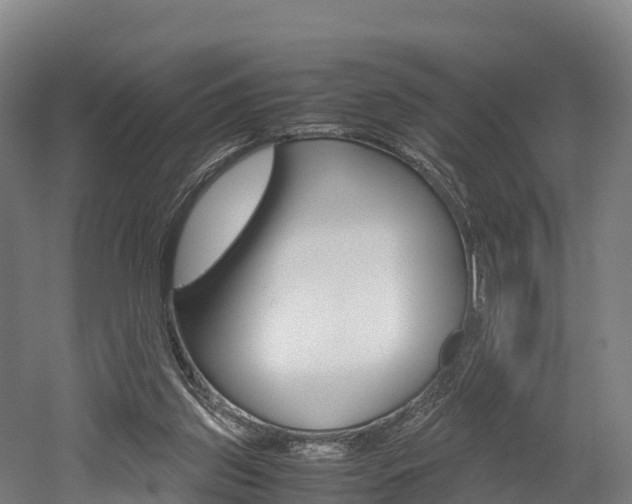 X0000052550157200507010854