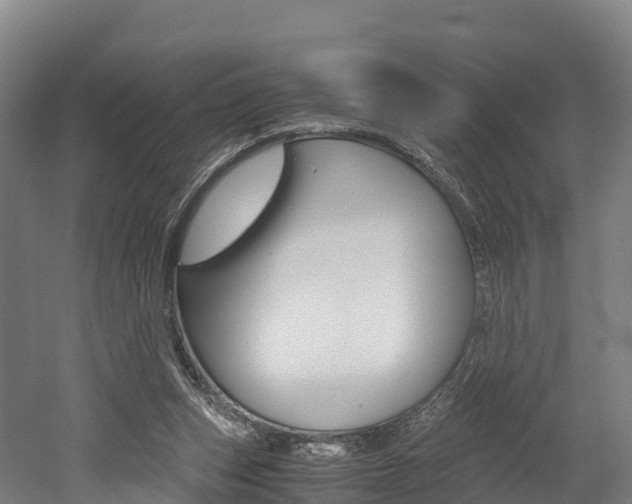 X0000052550159200507010854