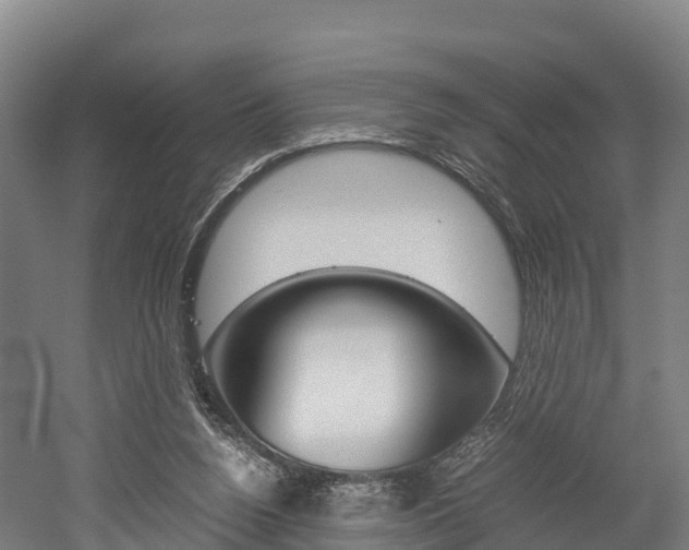 X0000052550160200507010854