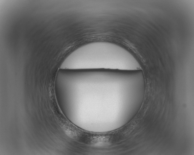 X0000052550161200507010854