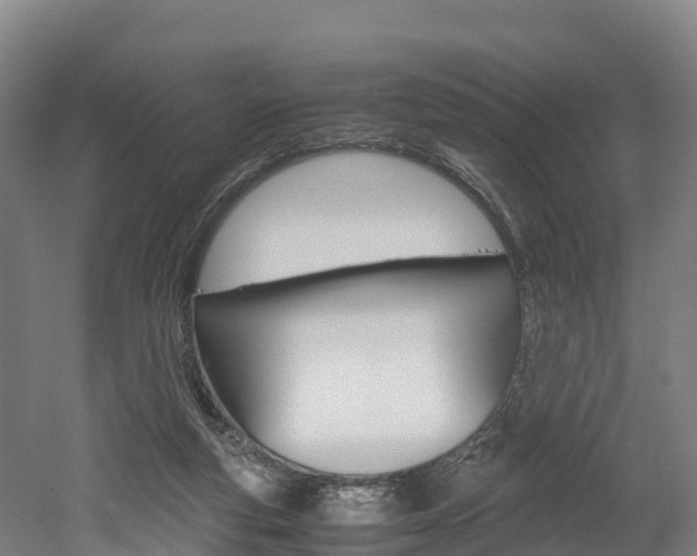 X0000052550163200507010854