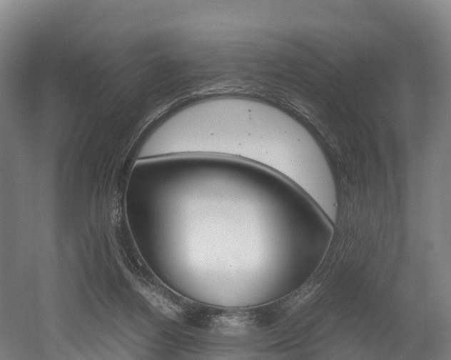 X0000052550164200507010854