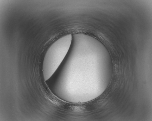 X0000052550165200507010854