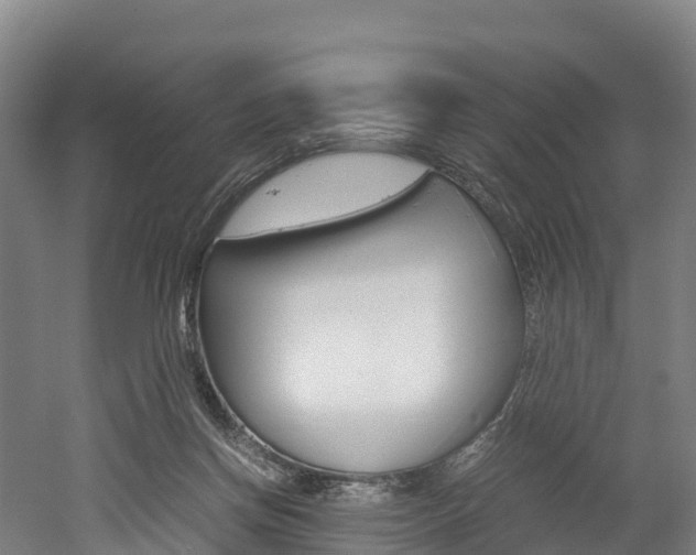 X0000052550166200507010854