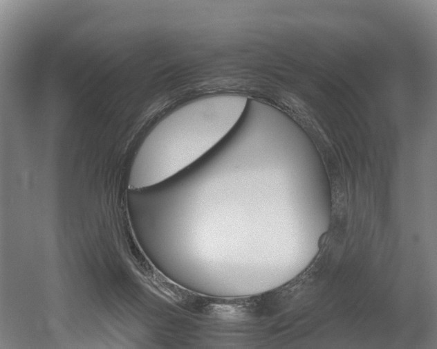 X0000052550167200507010854