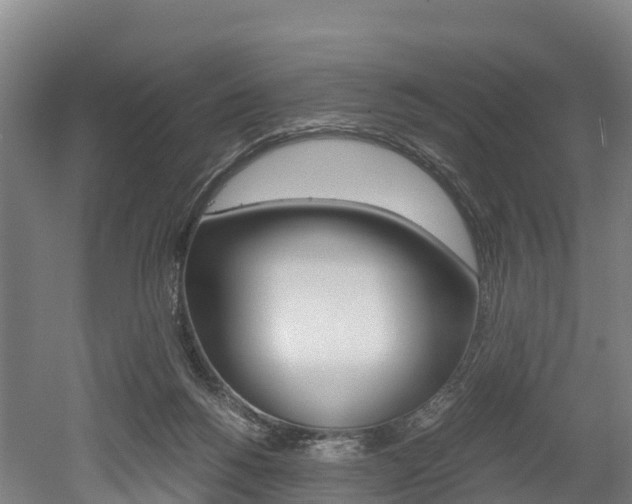 X0000052550168200507010854