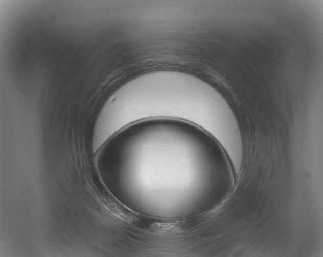 X0000052550170200507010854