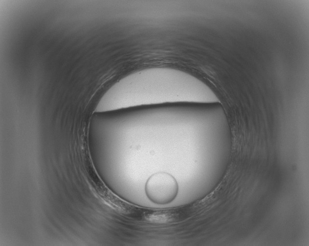 X0000052550171200507010854