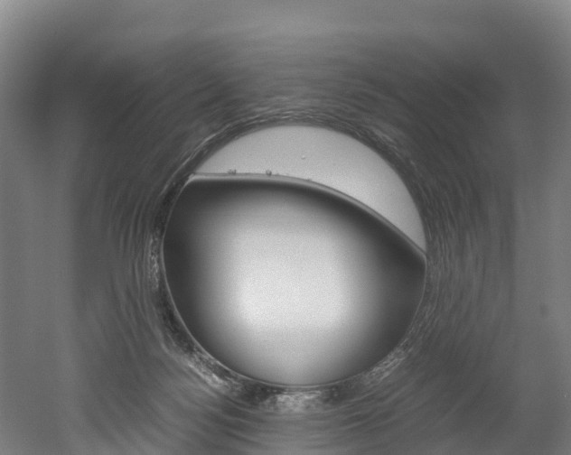 X0000052550172200507010854