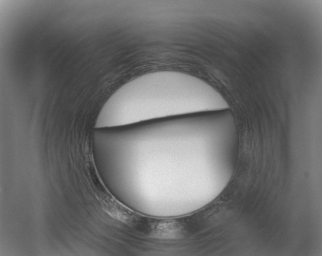 X0000052550173200507010854