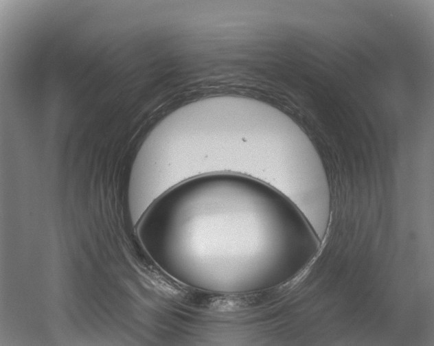 X0000052550174200507010854