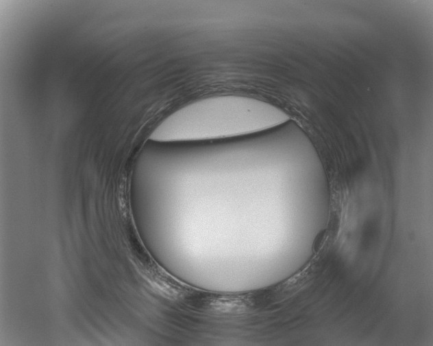 X0000052550175200507010854