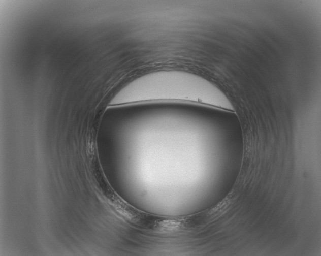 X0000052550176200507010854