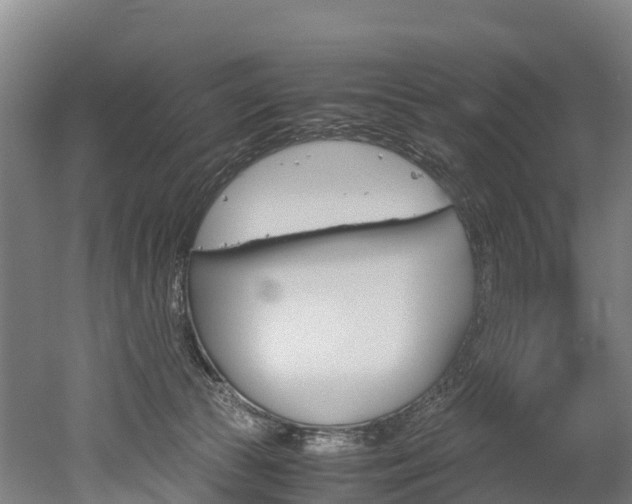 X0000052550177200507010854