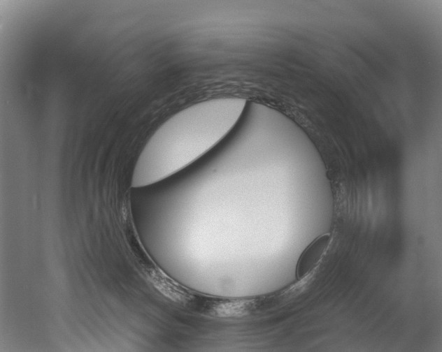 X0000052550178200507010854